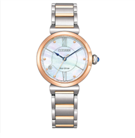 Watch Citizen Woman  Maybell in Steel EW1074-82D - EW1074-82D